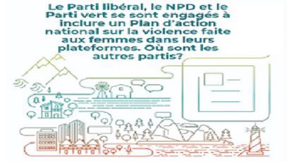 nap_on_vaw_commitment_fr_5